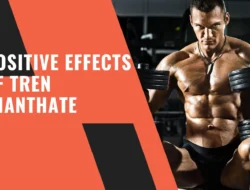 Body Positivity: Merangkul Diri Sendiri di Era Media Sosial