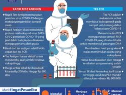 PCR dan Antigen untuk Wisata: Panduan Lengkap untuk Perjalanan Aman dan Nyaman